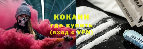 прущие грибы Кодинск