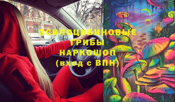прущие грибы Кодинск